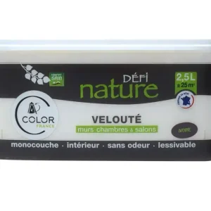 Prix Bas Peinture naturelle murale Ivoire velours 2,5 l - DEFI NATURE