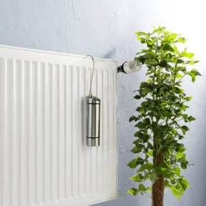 Achat Immédiat Saturateur acier inoxydable