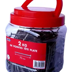 Pointes têtes plates longueur 50 mm 2 kg DESA Commander Vite