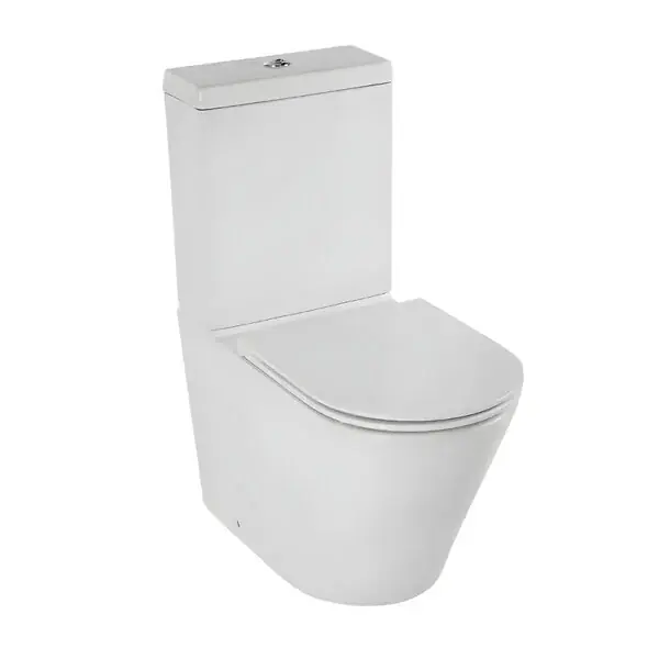 Acheter Direct WC à poser sans bride sortie universelle Rodin+ avec abattant frein de chute JACOB DELAFON
