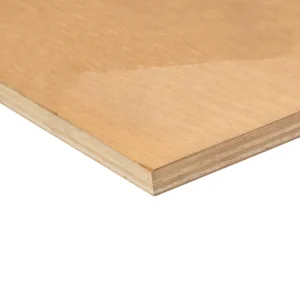 Remise Panneau contreplaqué bois okoumé hydrofuge CTBX extérieur - 10 x 2500 x 1220 mm - SYLVACO