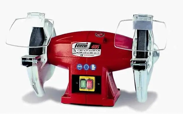 Meilleur Choix Touret à meuler Professsionnel Meule Diam200mm 500W (moteur induction) 405 Femi