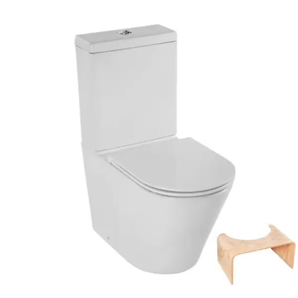 Meilleur Choix WC à poser sans bride sortie universelle Rodin+ avec abattant frein de chute + tabouret physiologique bois JACOB DELAFON
