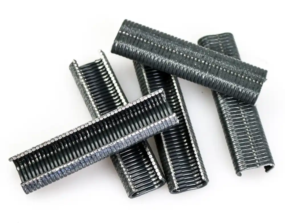 Agrafe pour grillage anthracite 20 mm Expédié Aujourd'hui