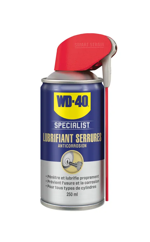 Expédié Aujourd'hui Lubrifiant serrure 250 ml - WD-40