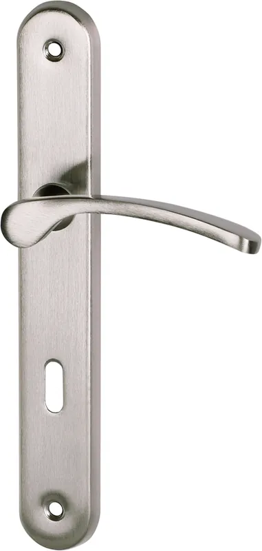Seulement Aujourd'hui Poignées de porte sur plaques à clé Absolu nickel mat ALPERTEC