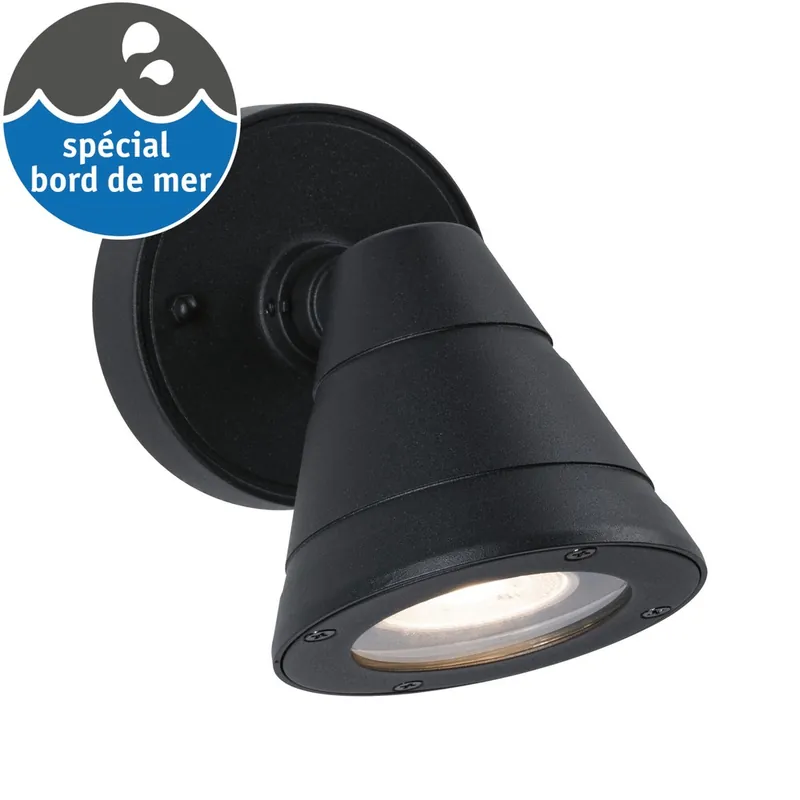 Affaire À Saisir Applique extérieur GU10 Trian anthracite IP44 35W - PAULMANN