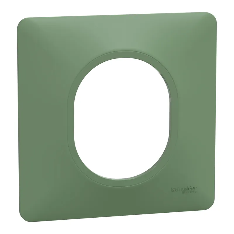 Plaque de finition 1 poste vert fôret - Ovalis SCHNEIDER ELECTRIC Prix Choc