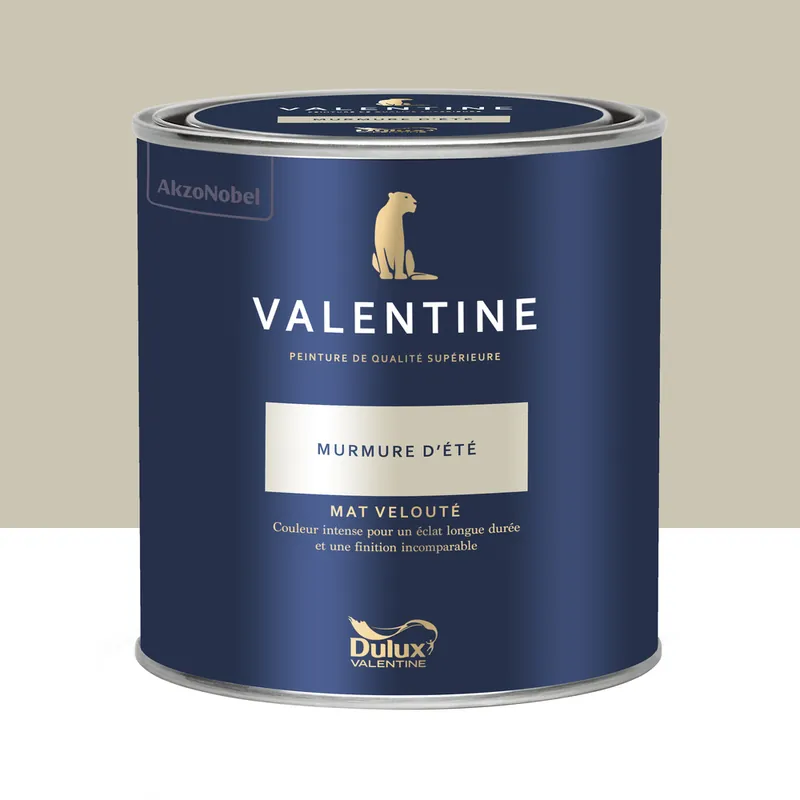 Prix Cassé Peinture Valentine Mat Velouté Murmure d‘Été 0,5L - DULUX VALENTINE