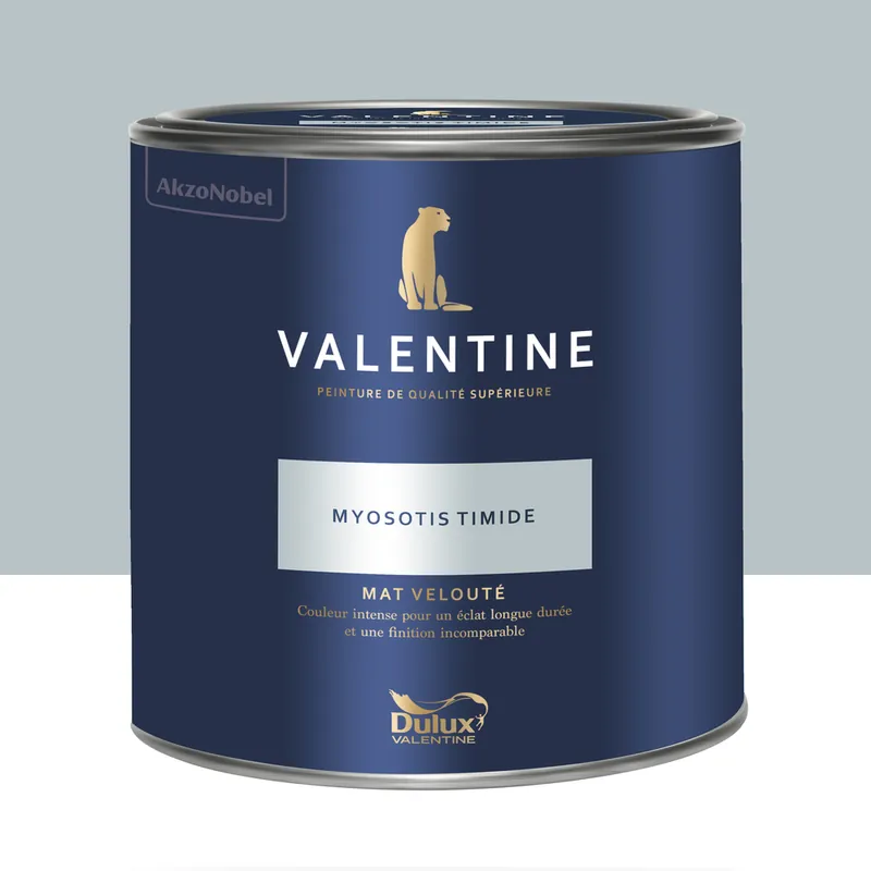 Peinture Valentine Mat Velouté Myosotis Timide 2 L - - DULUX VALENTINE Affaire À Saisir