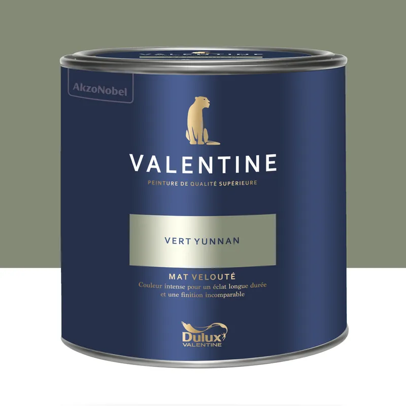 Peinture Valentine Mat Velouté Vert Yunnan 2 L - DULUX VALENTINE Meilleur Choix