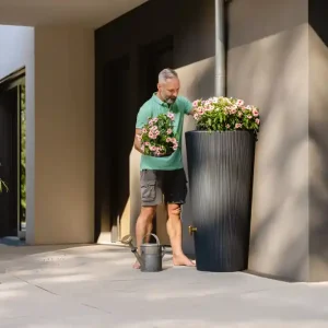 Kit Réservoir Linus 2en1 220LGris Graphite avec Collecteur Filtrant Eco Gris et robinet PE imitation laiton, en carton Certifié