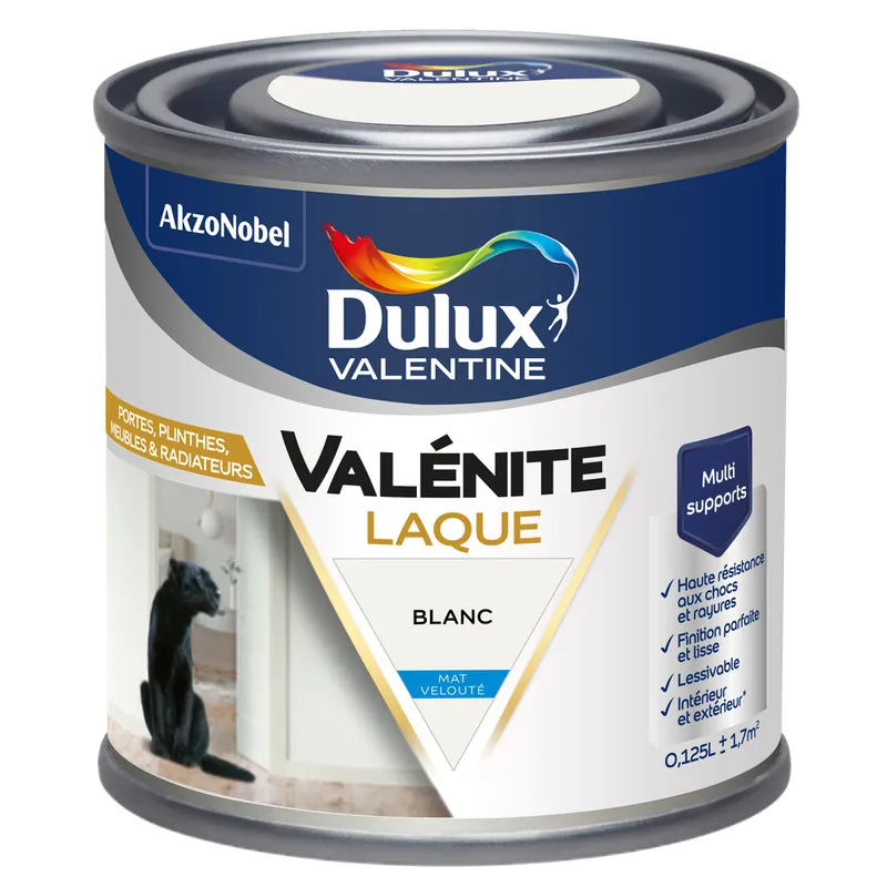 Seulement Aujourd'hui Laque Acrylique Blanc MAT 125 ml VALENITE - DULUX VALENTINE