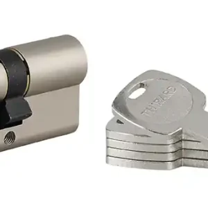 Cylindre de serrure double entrée 30 x 30 mm Transit 1 haute sécurité nickelé 5 clés THIRARD Vente Flash