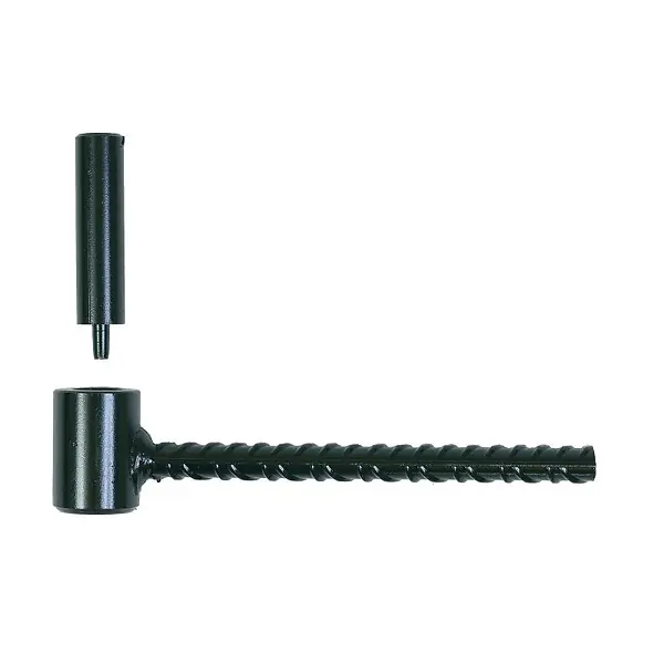 Commander Vite SAC 2 GONDS VOLET A SCELLER 16X130 MAT CREUX ING FIXATION