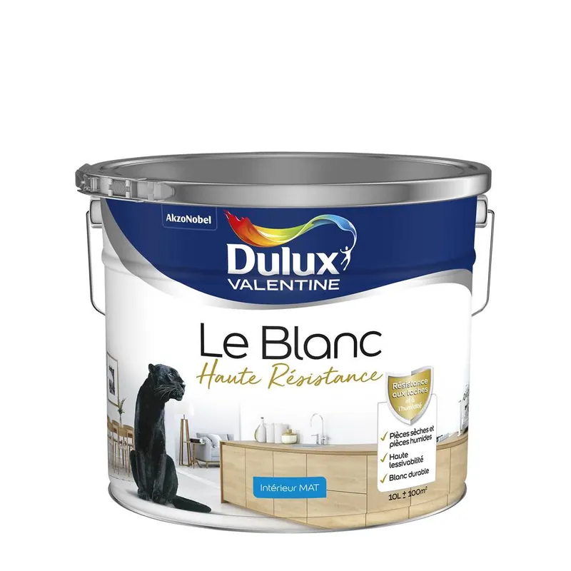 Usine Directe Peinture acrylique Haute Résistance Blanc mat 10 l - DULUX VALENTINE