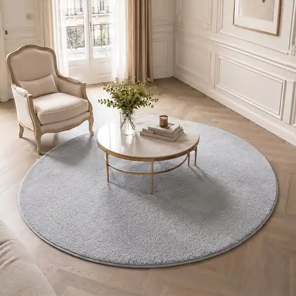 Prix Cassé Tapis de salon poils ras doux antiderapant ф160cm uni gris VOUNOT