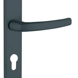 Jusqu'à Épuisement Des Stocks Poignées de porte sur plaques à cylindre Sultane gris anthracite THIRARD
