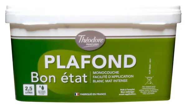 Peinture plafonds mate - Blanc - 2,5L THEODORE PEINTURES Achetez Aujourd'hui