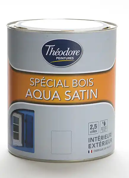 Peinture façade résine Pliolite - Blanc - 2,5L THEODORE PEINTURES Produit De Marque