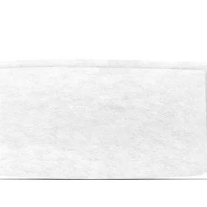 Filtre sortie air pour aspirateur AD4 KARCHER Meilleur Choix