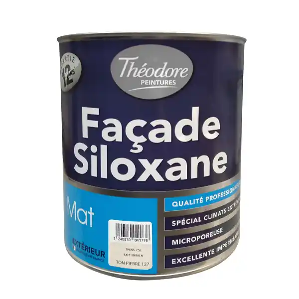 Peinture siloxane pour façade - Blanc - 2,5L THEODORE PEINTURES Must-Have