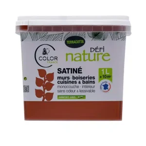 Peinture naturelle murale Terracota satin 1 l - DEFI NATURE Offre Exclusive