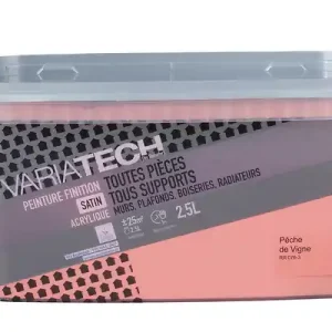Peinture multi-supports satin - Pêche de vigne - 2,5L VARIATECH Acheter Direct