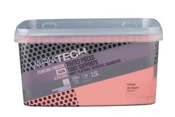 Peinture multi-supports satin - Pêche de vigne - 2,5L VARIATECH Acheter Direct