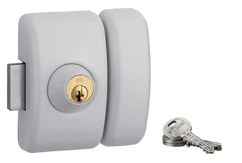 Dernière Chance Verrou de porte d‘entrée vitrée universel à cylindre 45 mm gris 3 clés THIRARD