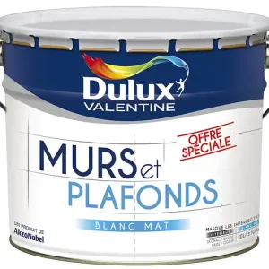 Peinture murs et plafonds Bicouche Série Spéciale Blanc 10L DULUX VALENTINE Usine Directe
