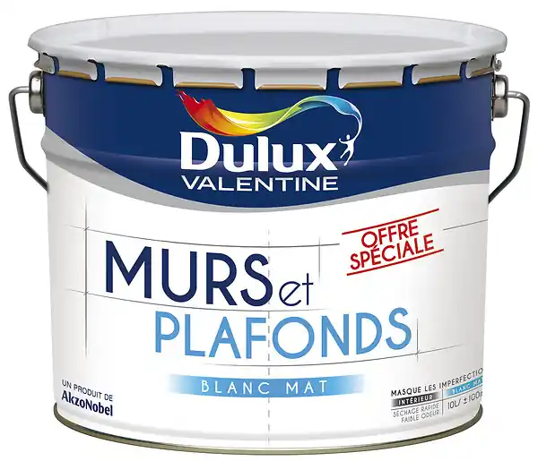 Peinture murs et plafonds Bicouche Série Spéciale Blanc 10L DULUX VALENTINE Usine Directe