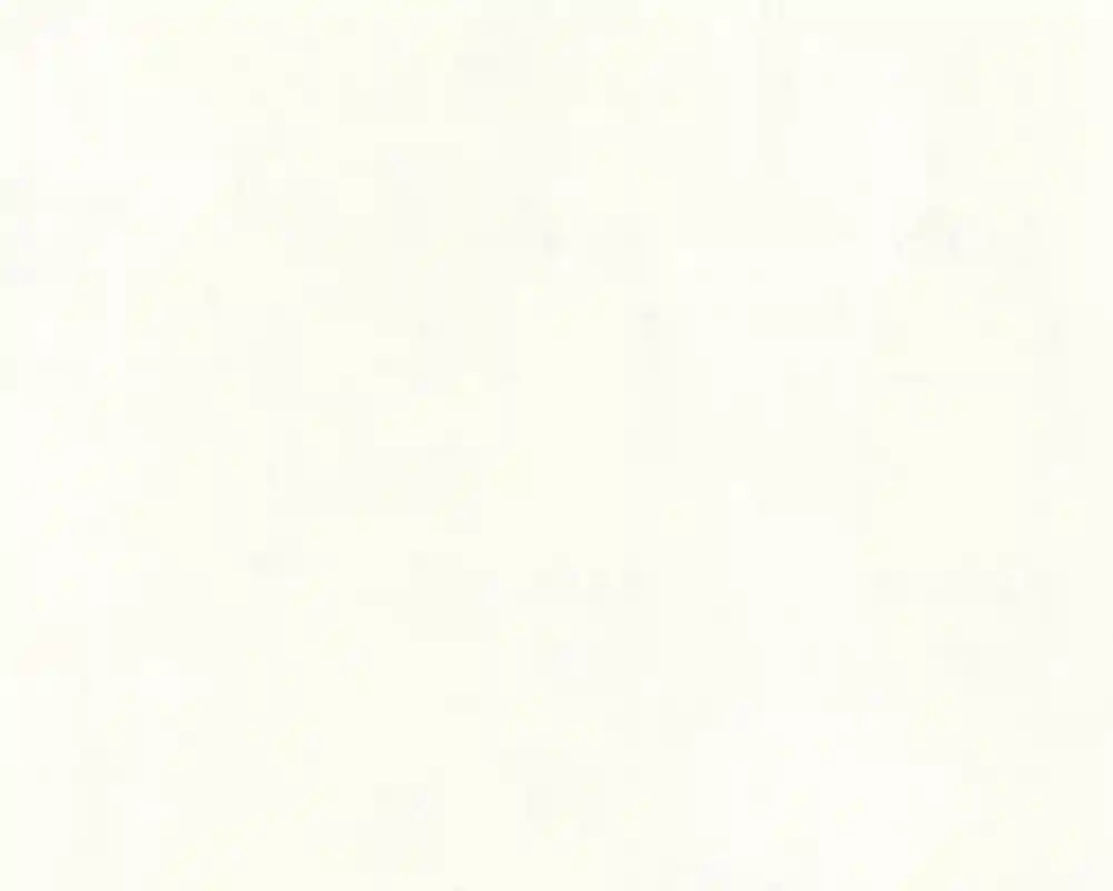 Jusqu'à Épuisement Des Stocks Papier peint expansé sur intissé Used look 53 cm x 10 m blanc AS CREATION
