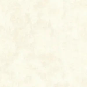 Offre Du Jour Expansé sur intissé Used look 53 cm x 10 m crème AS CREATION
