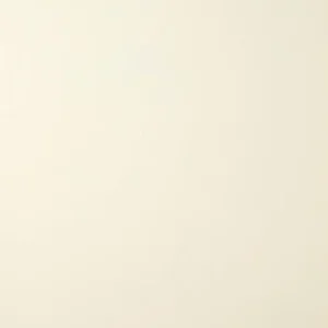 Prix Réduit Lambris PVC Dumapan blanc crème - L.400xl.25cm DUMAPLAST