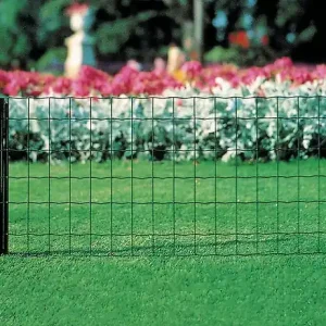 Bordure acier plastifié vert - H.40cmxL.25m DIRICKX Certifié