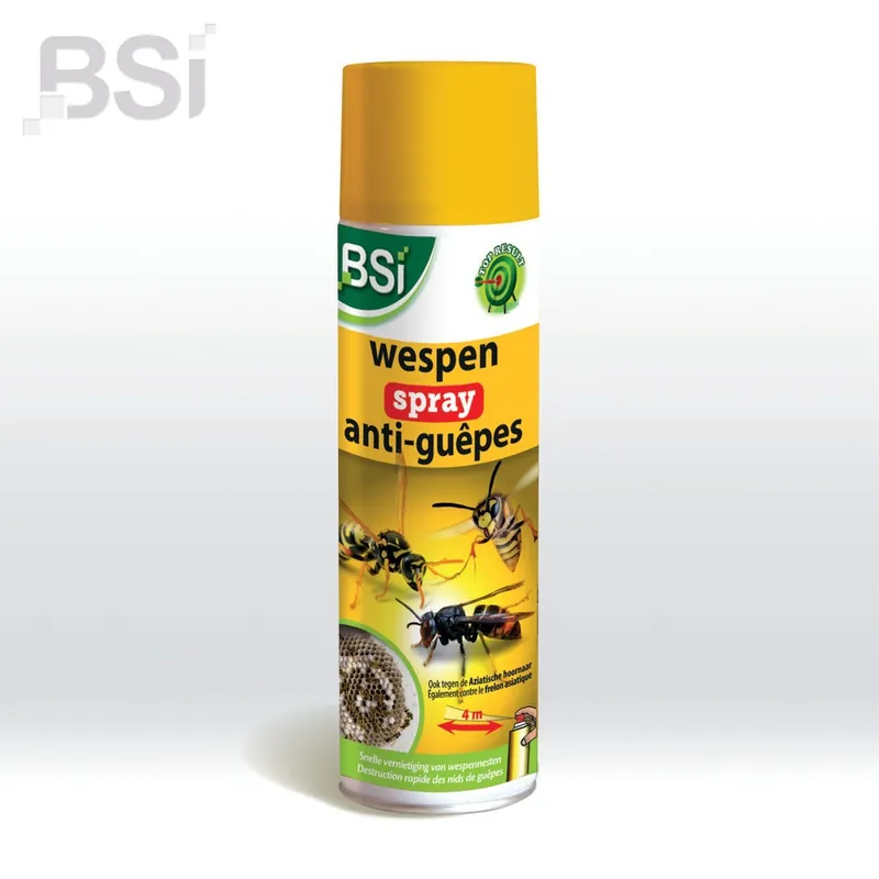 Insecticide anti guêpes et destructeur de nid de guêpes 500 ml - BSI Acheter Direct