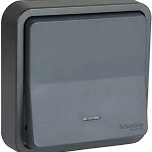 Poussoir étanche IP55 avec témoin lumineux encastré anthracite - Mureva Styl SCHNEIDER ELECTRIC Commande En Gros