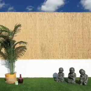Clôture en roseau naturel - 1x5 m NORTENE Expédition Rapide
