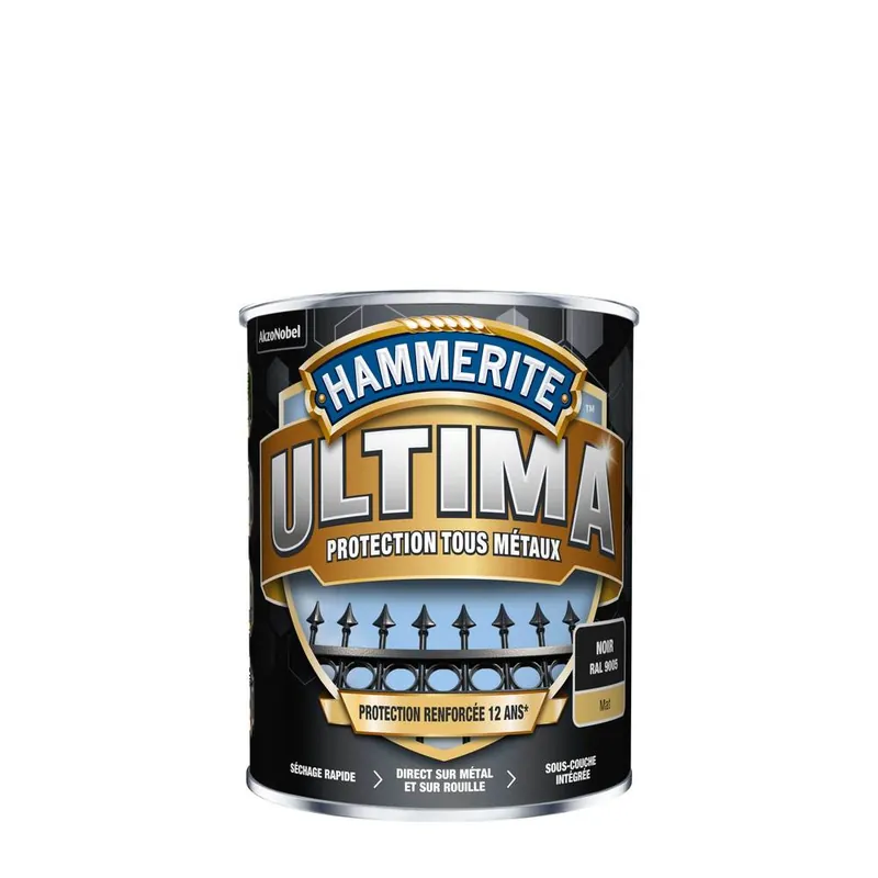 Peinture fer extérieur ultima noir mat 750 ml - HAMMERITE Quantité Limitée