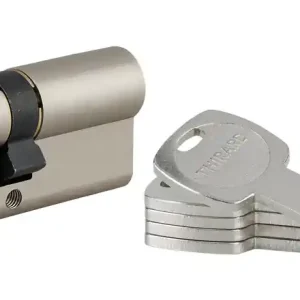 Cylindre de serrure double entrée 35 x 30 mm Transit 1 haute sécurité nickelé 4 clés THIRARD Offre Exclusive