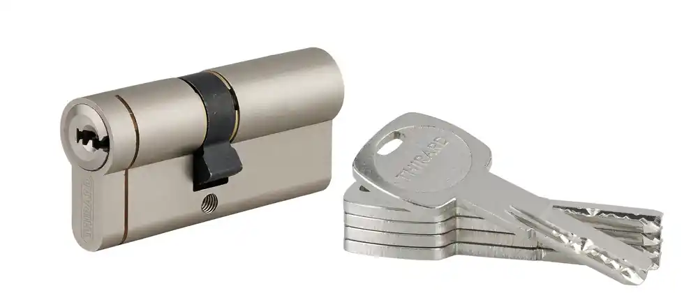 Cylindre de serrure double entrée 35 x 30 mm Transit 1 haute sécurité nickelé 4 clés THIRARD Offre Exclusive