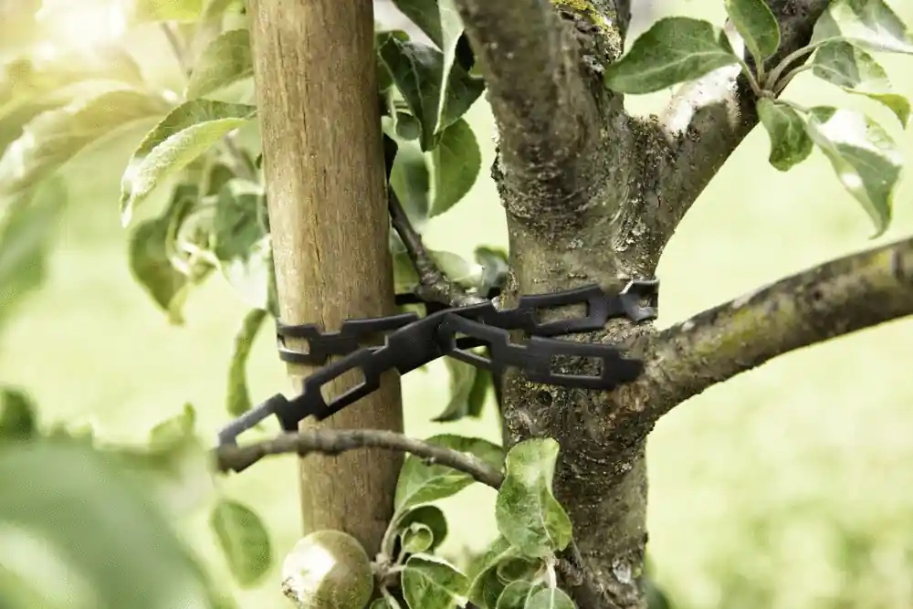 Populaire Lien d‘attache pour plante cranté et sécable en plastique 5m WINDHAGER