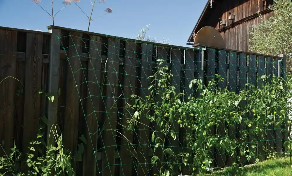 Filet à ramer vert pour plantes grimpantes 2 x 5m 150 mm WINDHAGER Haute Qualité