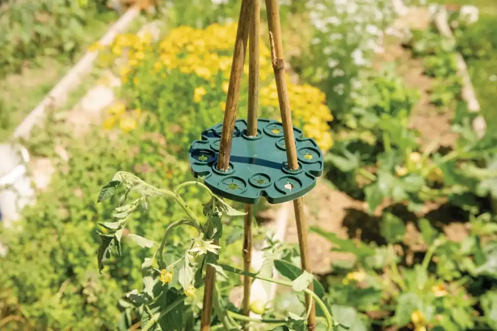 Offre Limitée Support tuteur disque en plastique wigwam par 2 WINDHAGER
