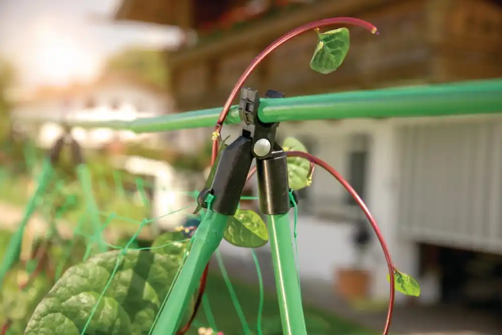 Livraison Express Connecteurs tuteurs en V Ø 16 mm par 4 WINDHAGER