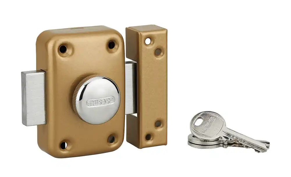 Verrou de porte d‘entrée Apache à bouton et cylindre 45 mm doré 3 clés THIRARD Acheter Direct