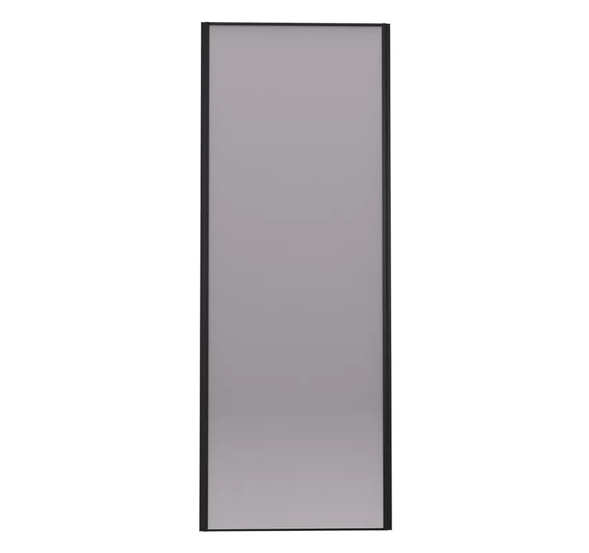 Bon Plan Porte de placard Miroir Profil noir H 248,5 x L 62,2 cm YNGENIO