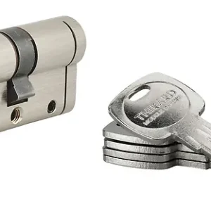 Cylindre trafic 12 30x30 nickele 5 cles THIRARD Remise