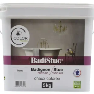 Réduction Badistuc bleu nuit 5kg COLOR FRANCE